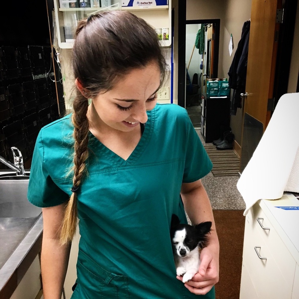 Meet your Posher, Clara